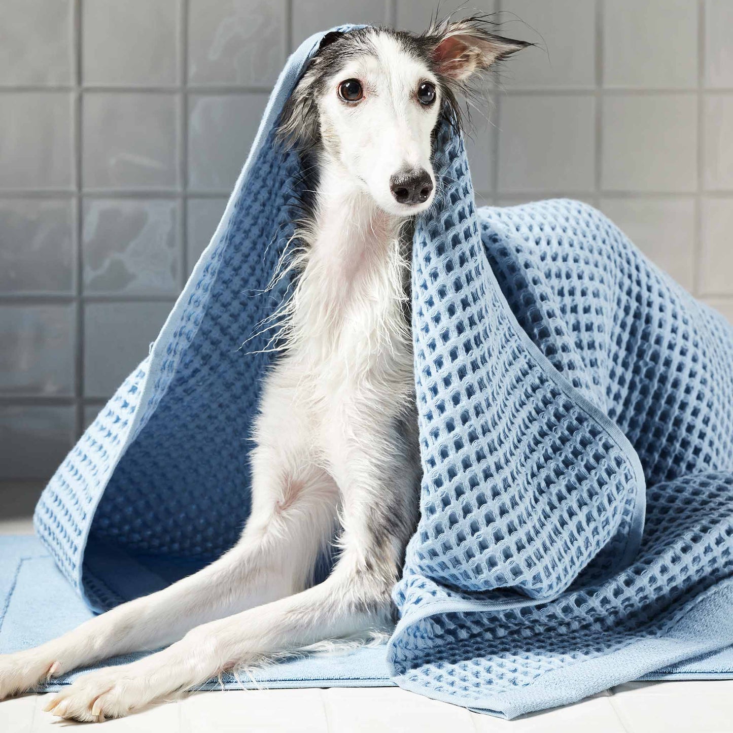 Dreamweave Waffle Bath Sheets