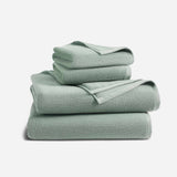 Agave