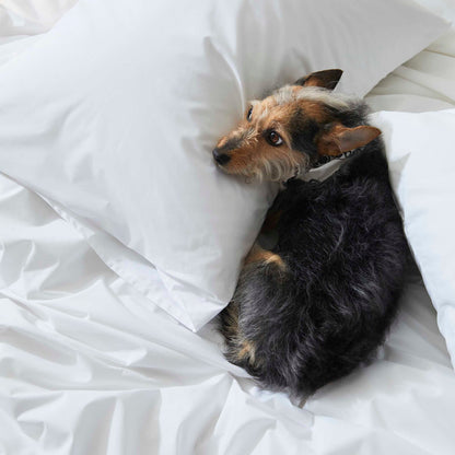Luxe Sateen Flat Sheet - Last Call