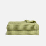 Fern