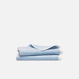 Striped Cerulean