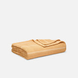 Apricot Stripe