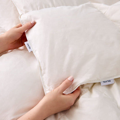 Comforter