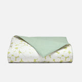 Drifting Blooms in Vetiver
