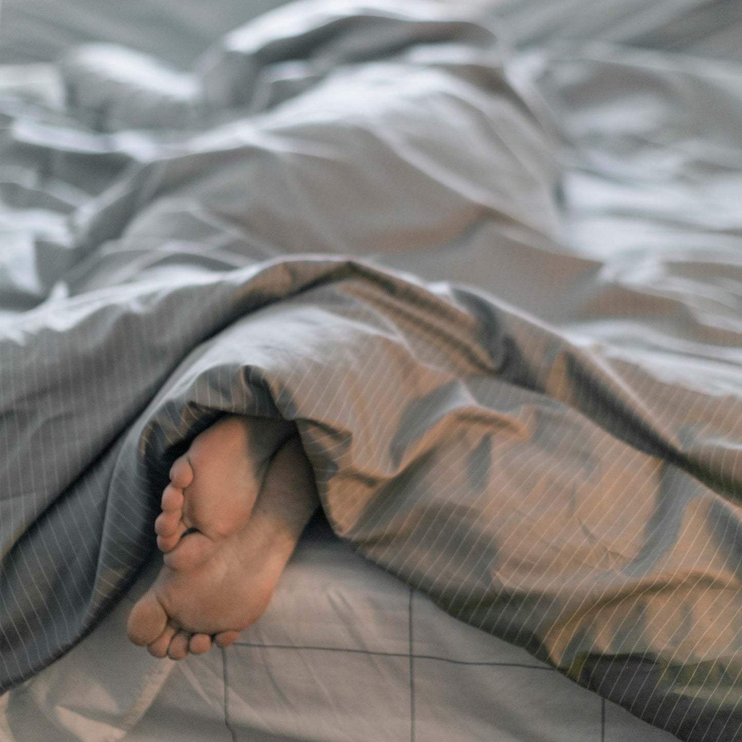 Luxe Sateen Fitted Sheet - Last Call