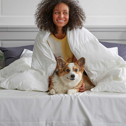 Luxe Sateen Fitted Sheet - Last Call